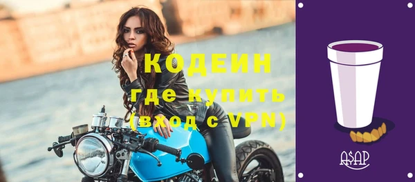 прущий лед Бородино