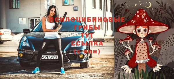 метадон Армянск