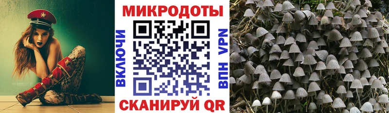 Галлюциногенные грибы мицелий  Судак 
